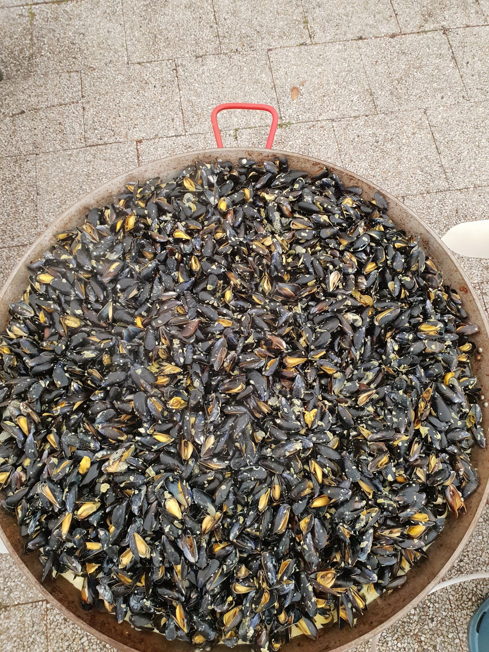 Moules marinières