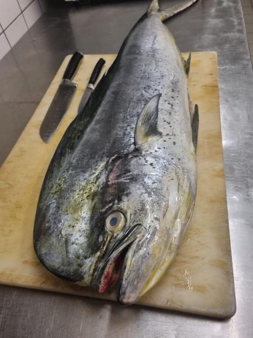 Gros poisson sur une planche