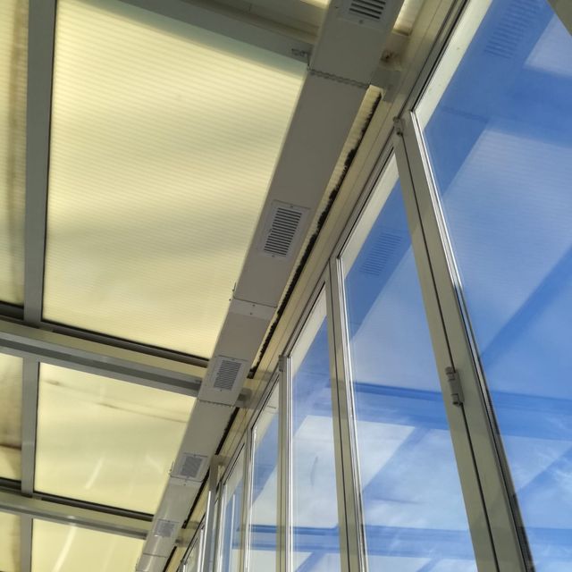 Mirando hacia el techo de un edificio con muchas ventanas