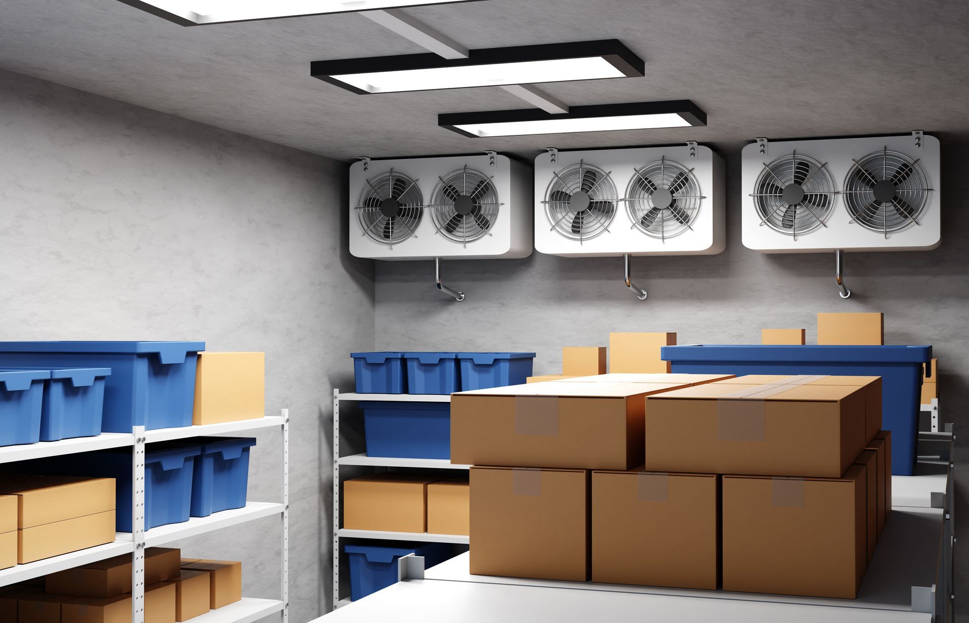 Débarras avec étagères bleues, cartons et ventilateurs muraux sous éclairage fluorescent.