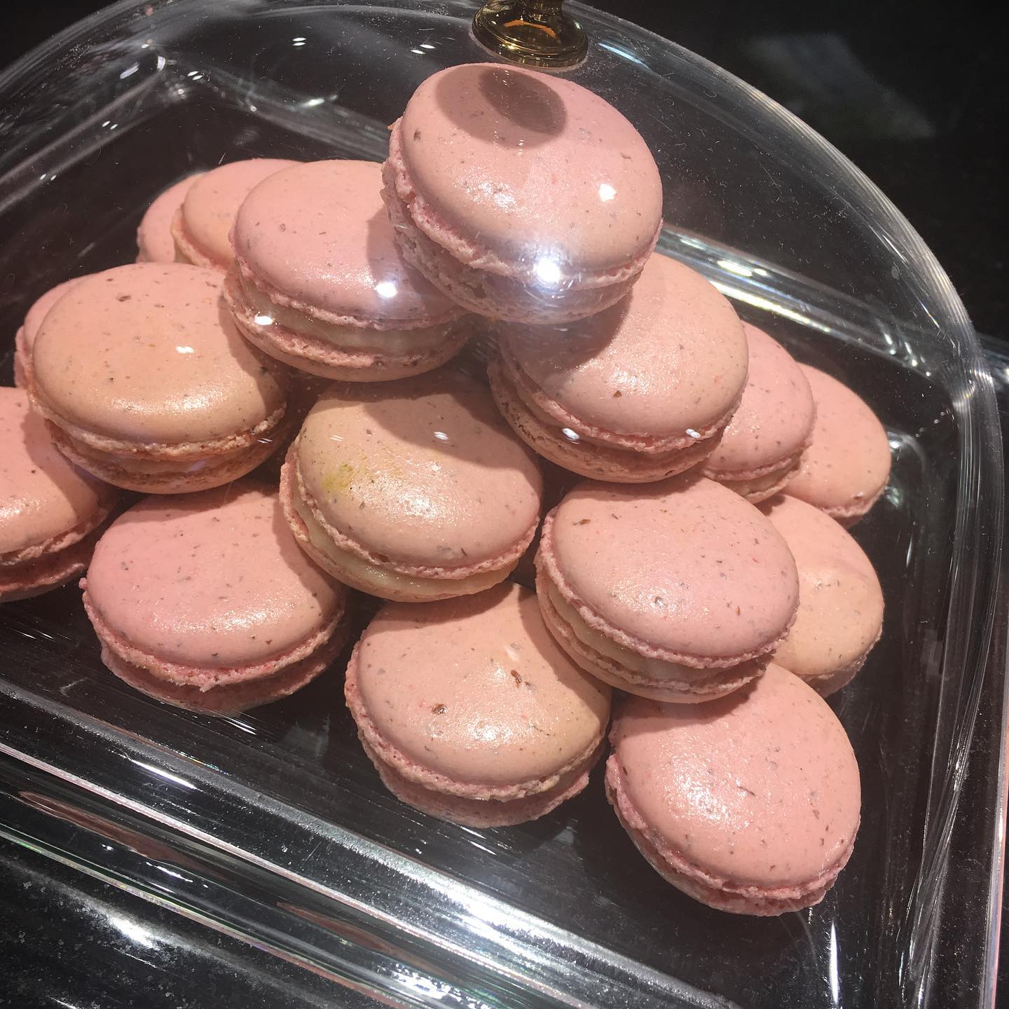 Macaron pamplemousse