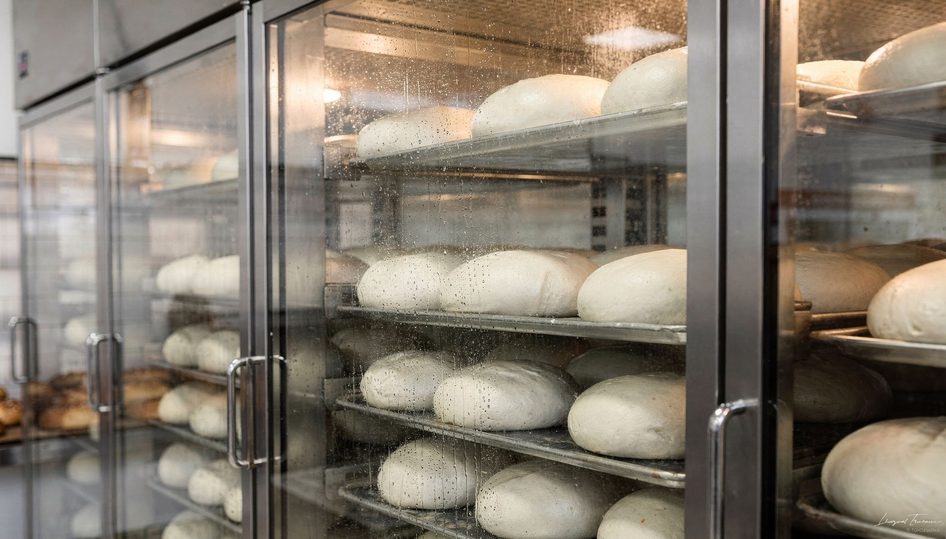 Des rangées de pains en train de lever dans des vitrines de boulangerie sous une lumière chaude