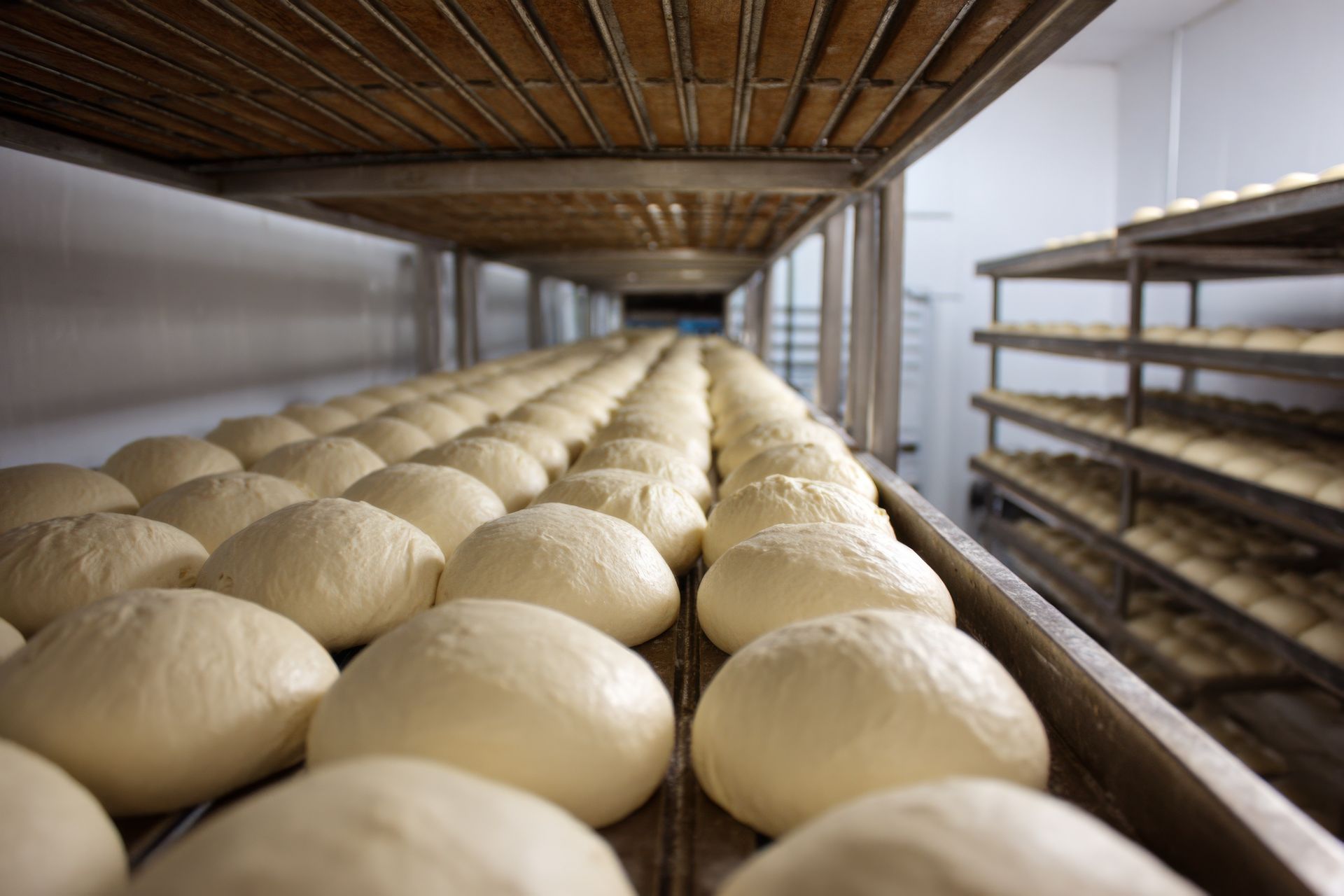 Des rangées de pâte en train de lever dans une chambre de pousse