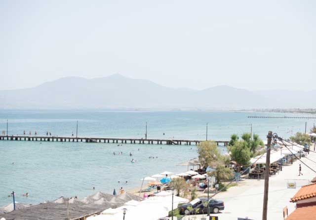 DODOS SEAVIEW STUDIOS