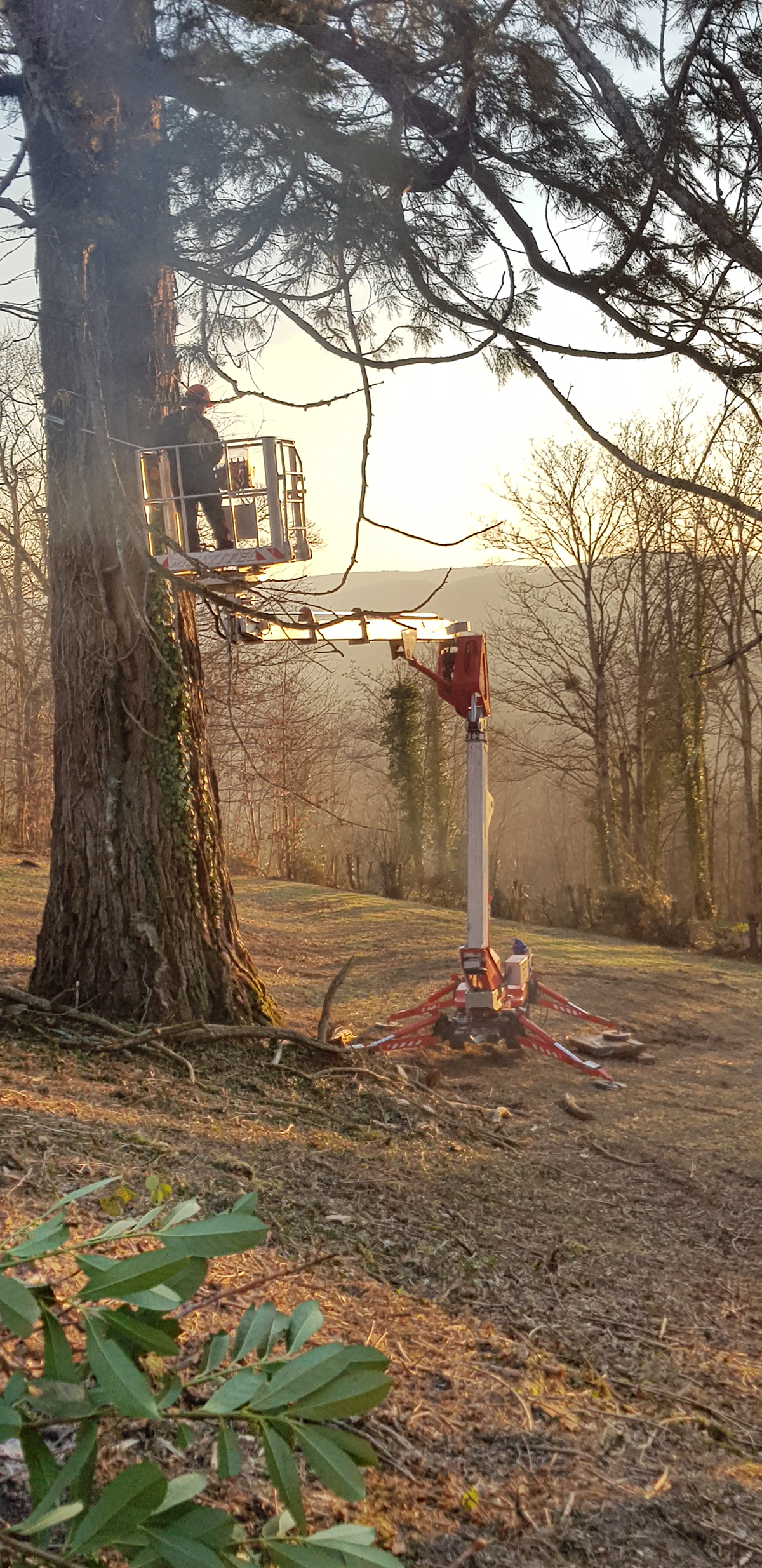 Réalisation aménagements extérieurs et espaces verts 5