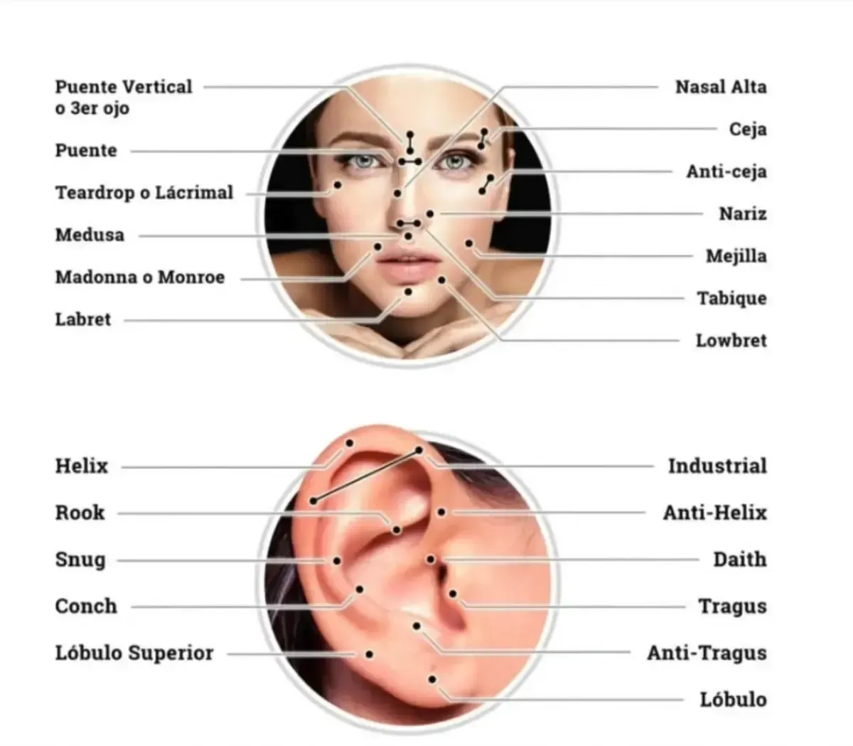 Diagrama de perforaciones faciales y de orejas con etiquetas.