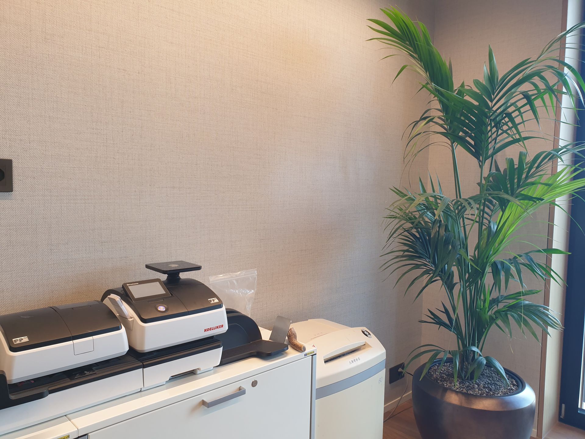 Büroecke mit medizinischer Ausrüstung auf einem Schrank und einer großen Topfpalme.