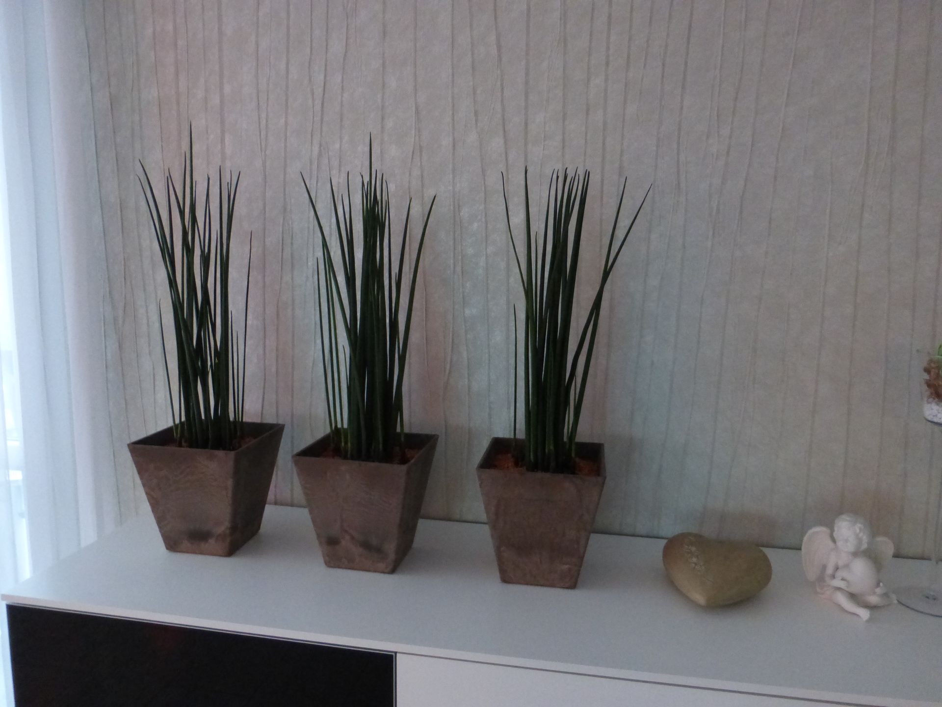 Maler Habermacher AG