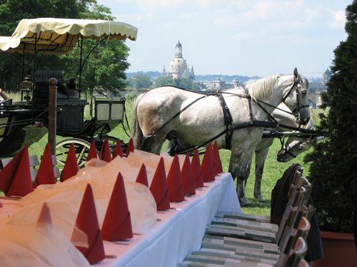 Gedeckter Tisch auf einer Wiese