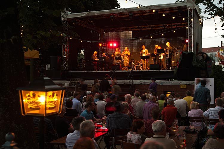 10. Elbefest und
14. Elbeschwimmen '11