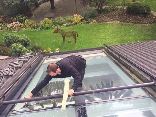 Mann reinigt ein Oberlicht auf einem Dach, im Hintergrund ein Formschnitt-Esel. Grünes Gras und Garten.