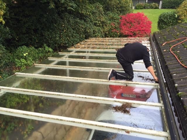 Person reinigt Schmutz von einem klaren Glasdach, neben einer dunklen Dachrinne und Grünpflanzen.