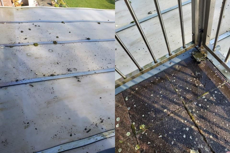 Zwei Bilder zeigen einen Balkon mit Vogelkot auf Dach und Boden, neben einem Metallgeländer.