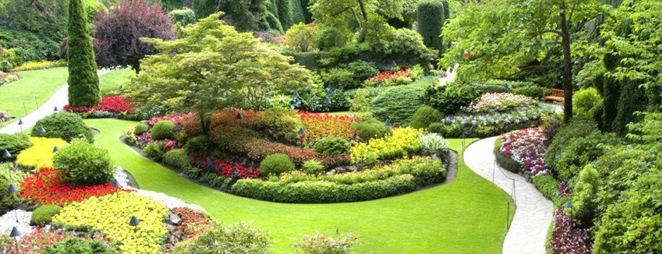 Una vista aérea de un jardín lleno de flores y árboles.