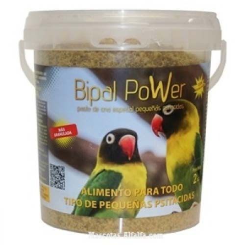 Un cubo de energía bipolar con dos pájaros en él