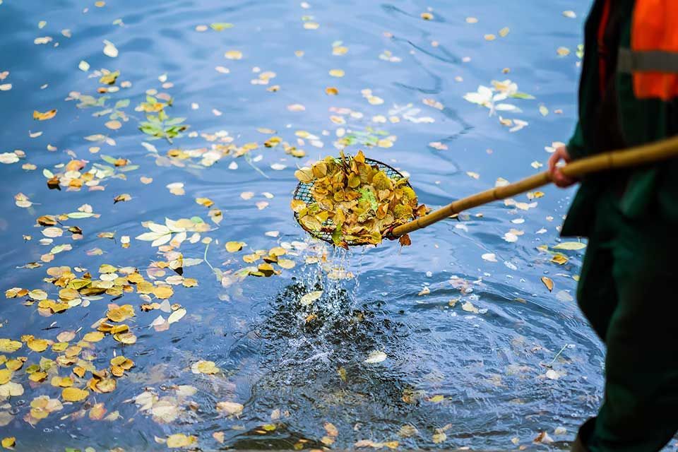 Une personne en uniforme utilise un filet pour retirer les feuilles tombées dans l'eau.