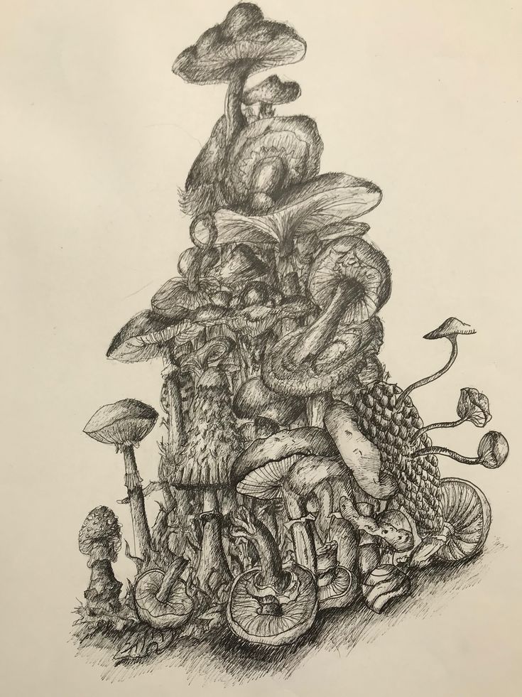 Un dessin avec des champignons