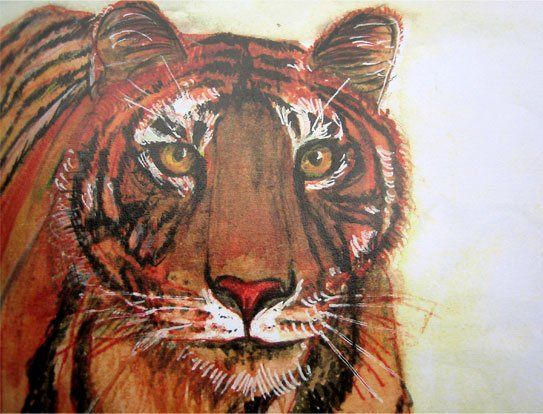 tigre