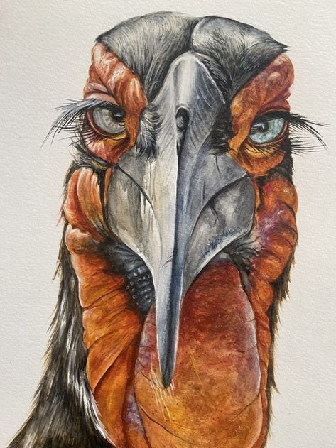 Un pintade noir et orange avec de longs cils