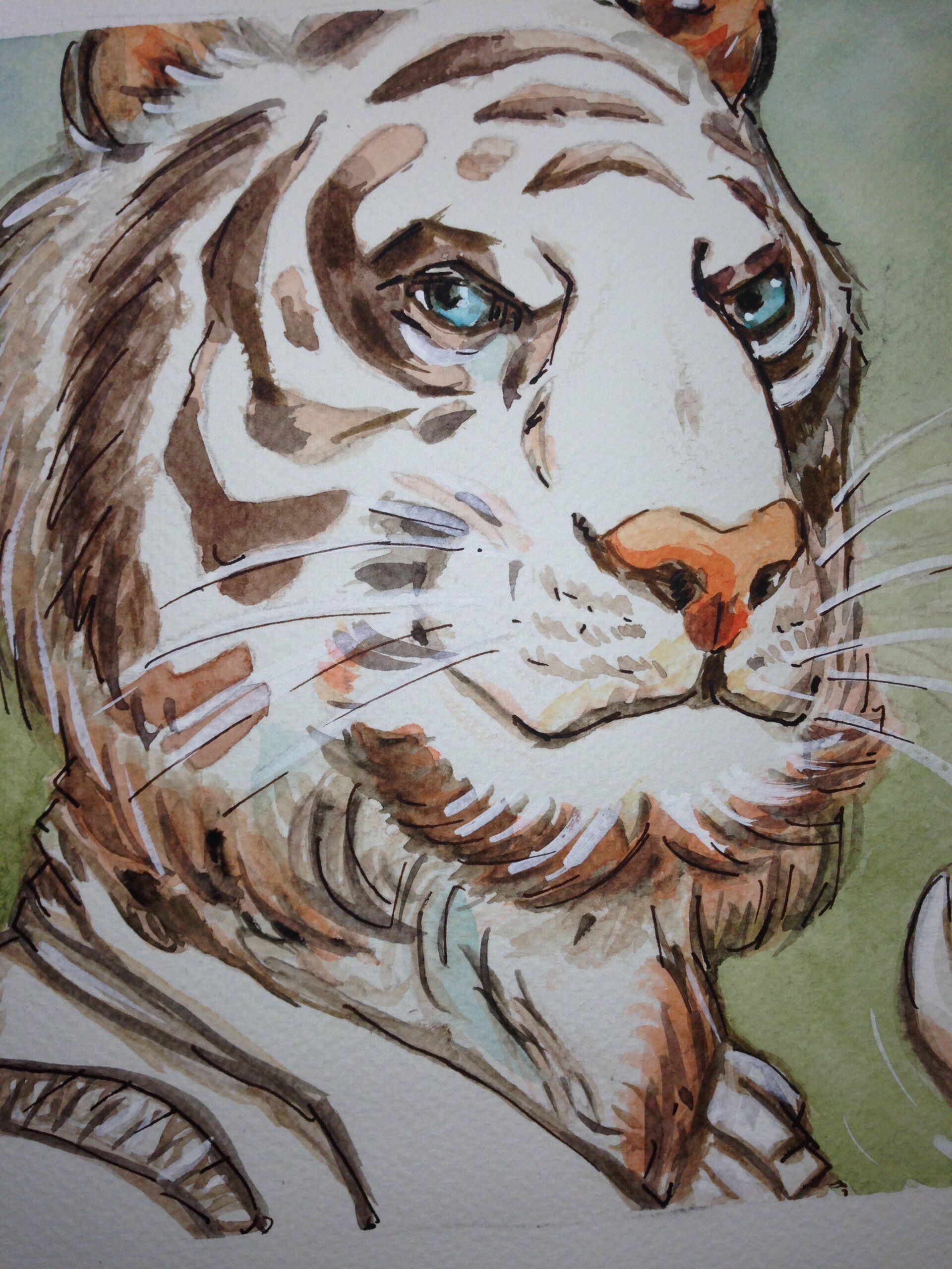 Tigre - encre aquarelle