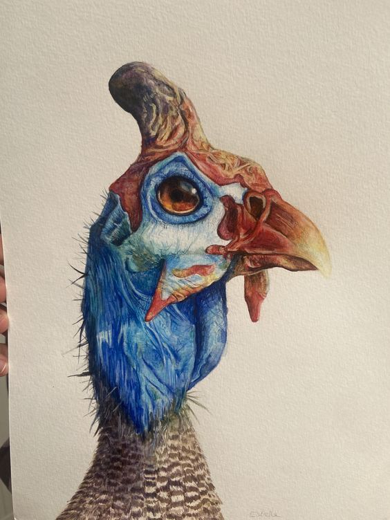 Un pintade peinte à l'aquarelle