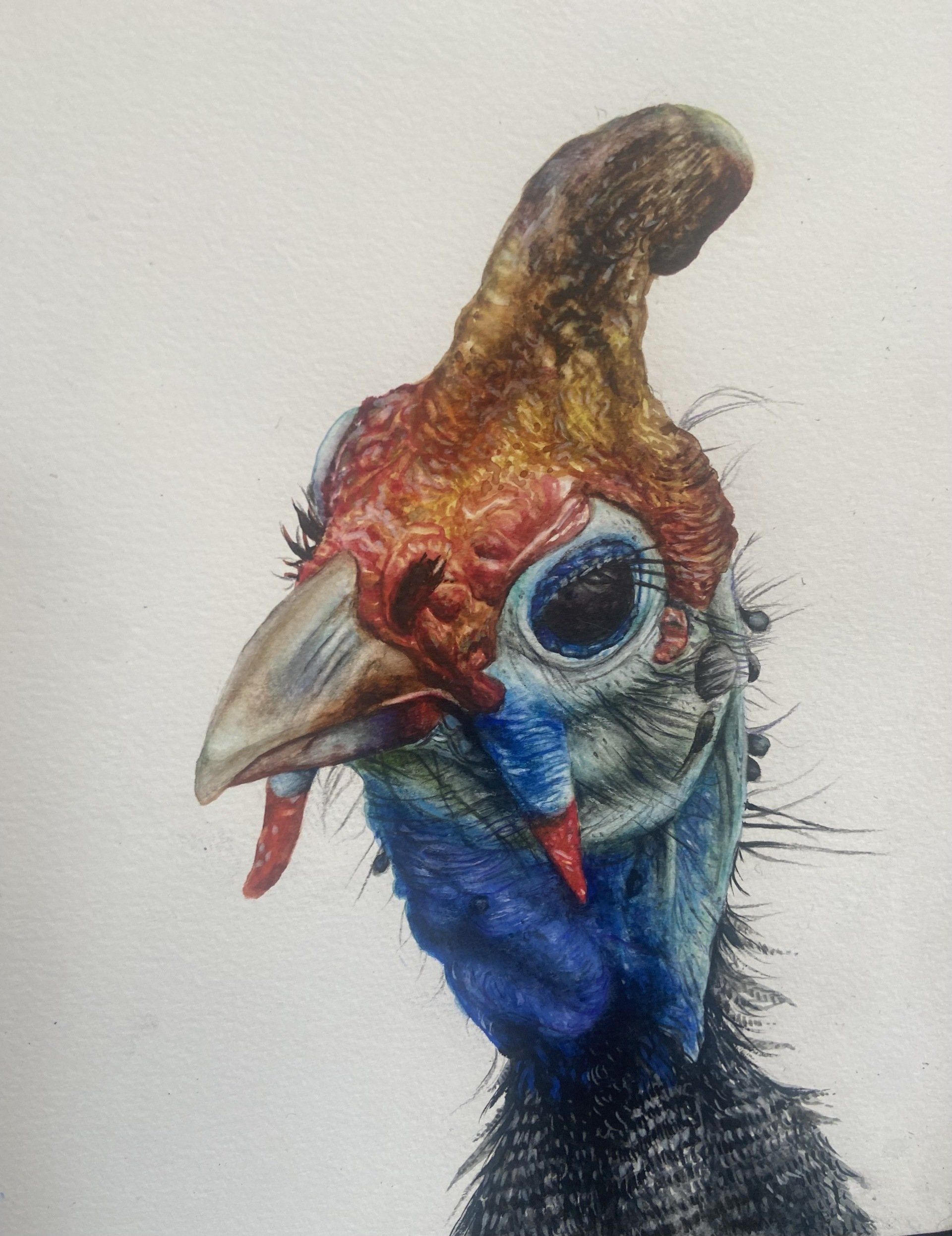 oiseau