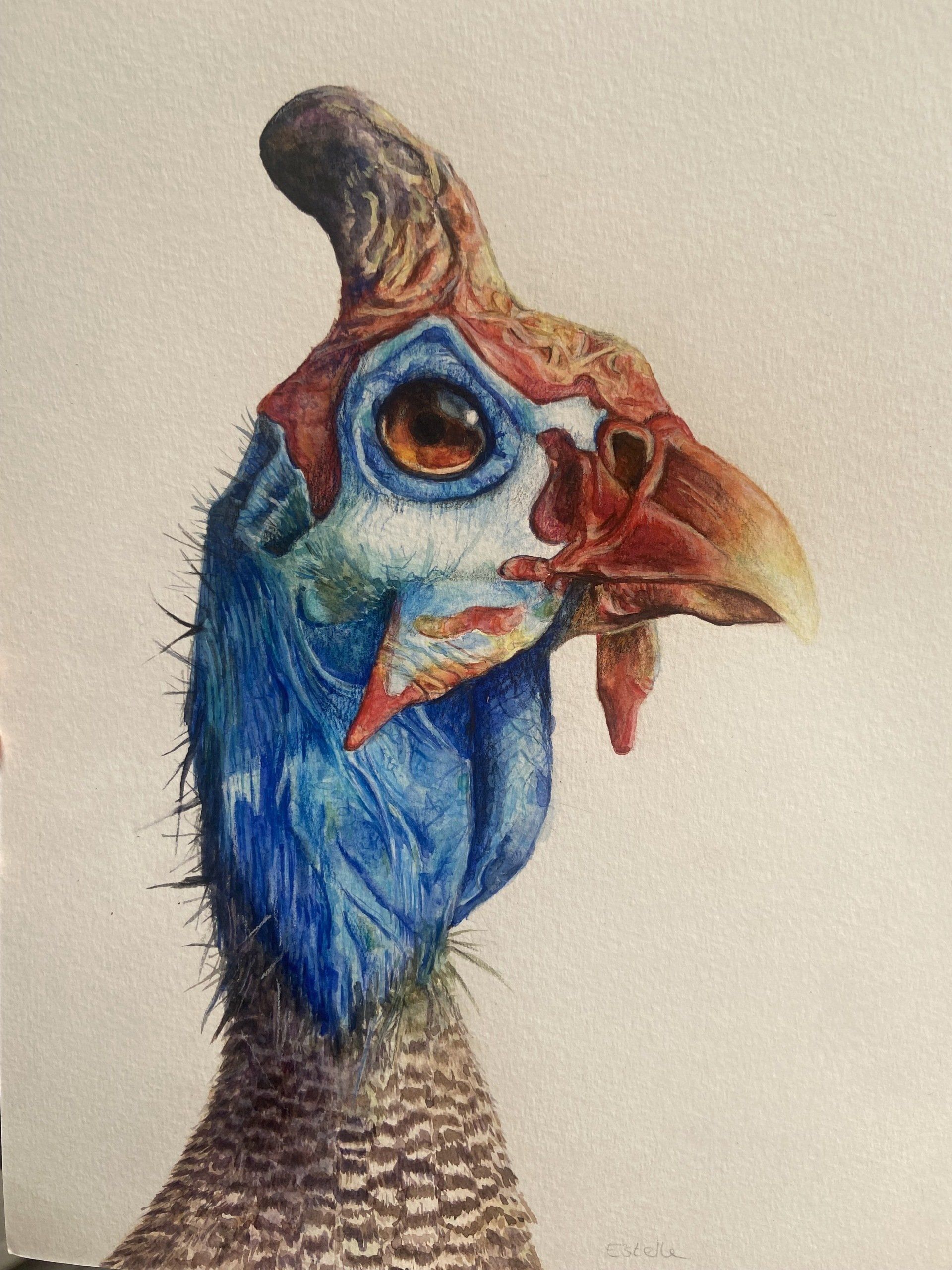 oiseau