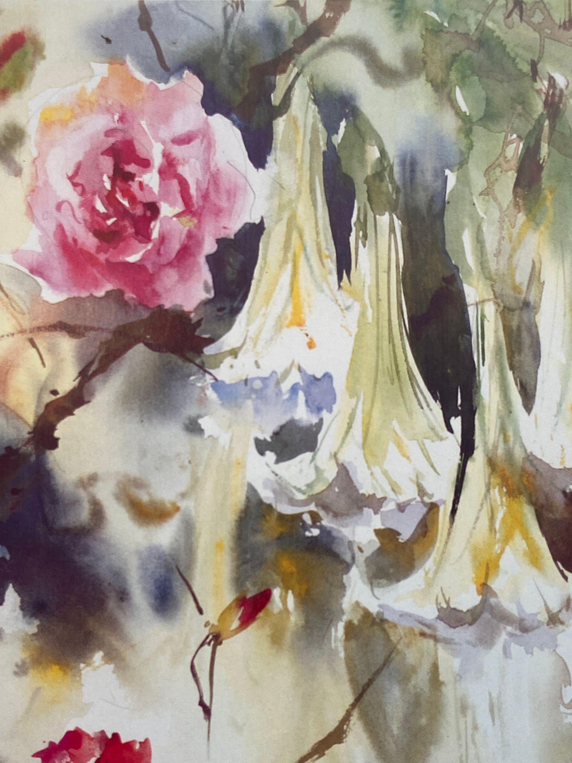 Aquarelle DATURA