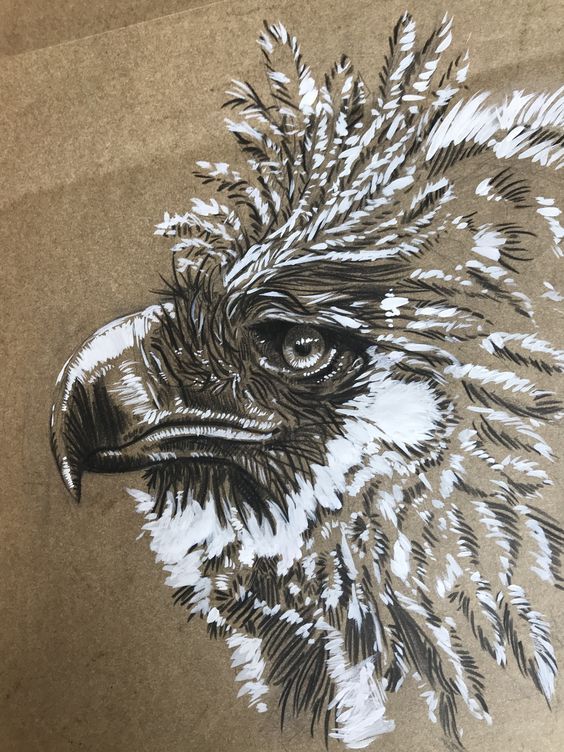 Un dessin de pintade