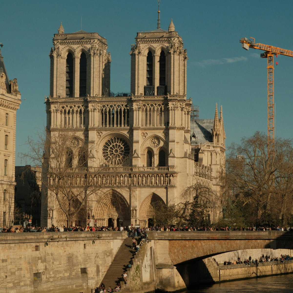 Desk with map, computer screen displaying map, coffee mug, succulent, and window view.