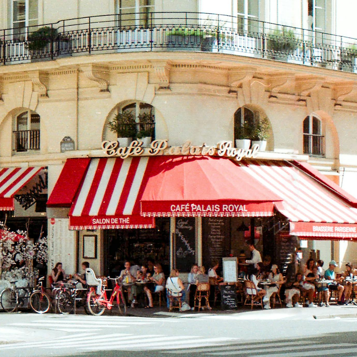 Desk with map, computer screen displaying map, coffee mug, succulent, and window view.