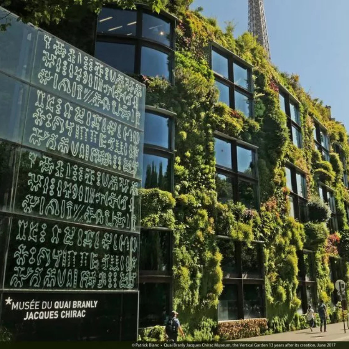 Desk with map, computer screen displaying map, coffee mug, succulent, and window view.