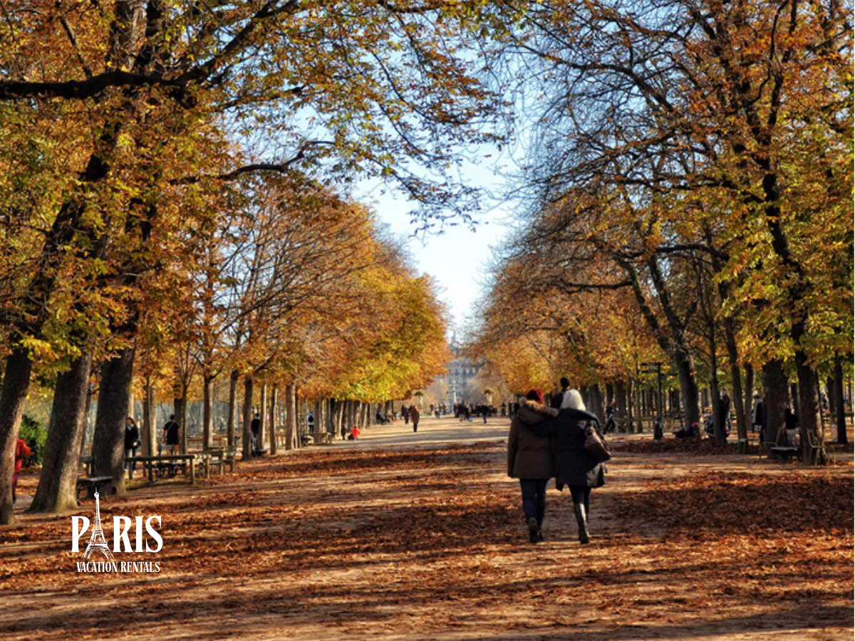 Autumn Paris
