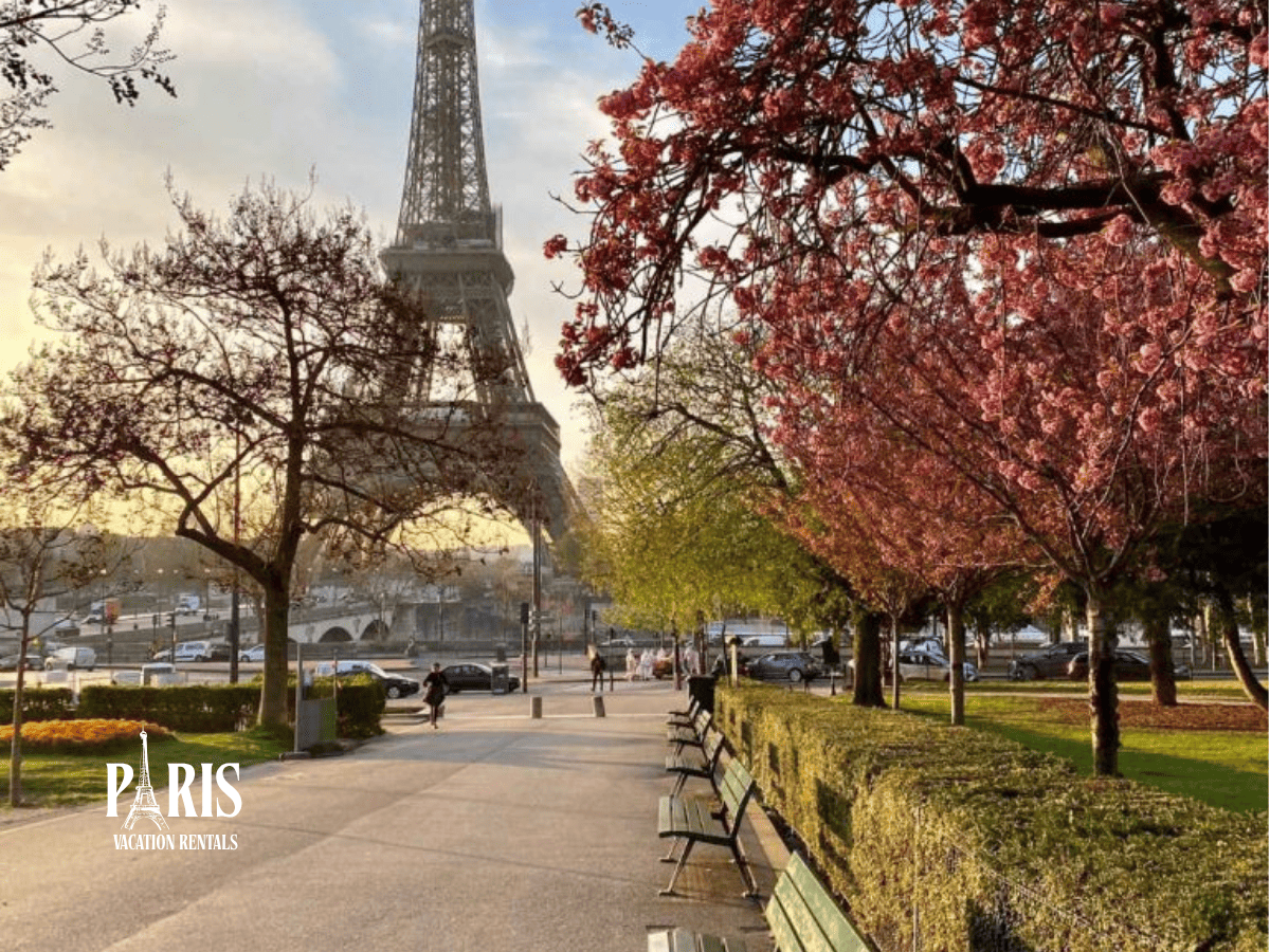 Spring in Paris (March–May)
