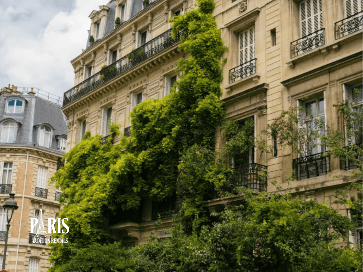 Tips for Taking Better Pictures of Paris France