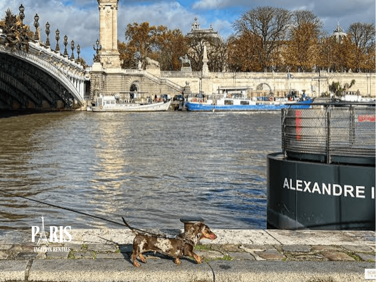 Paris Sausage Walk 2026 Moves to Iconic Champs-Élysées