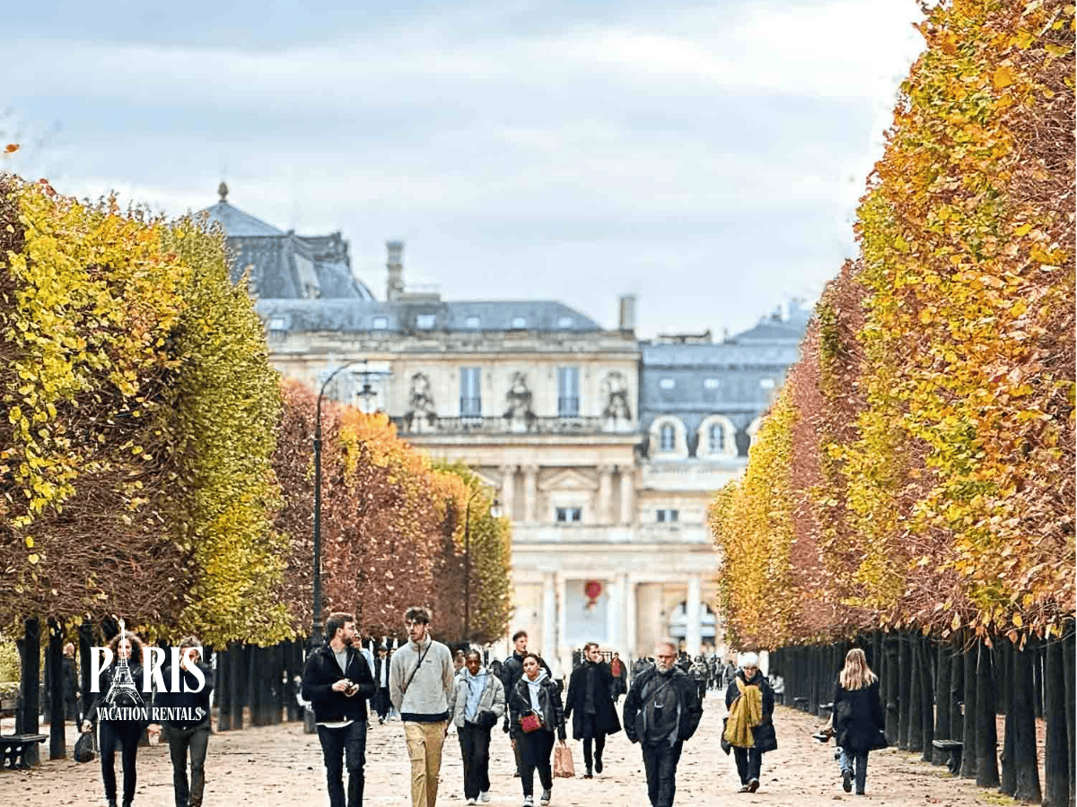 Paris Fall streets