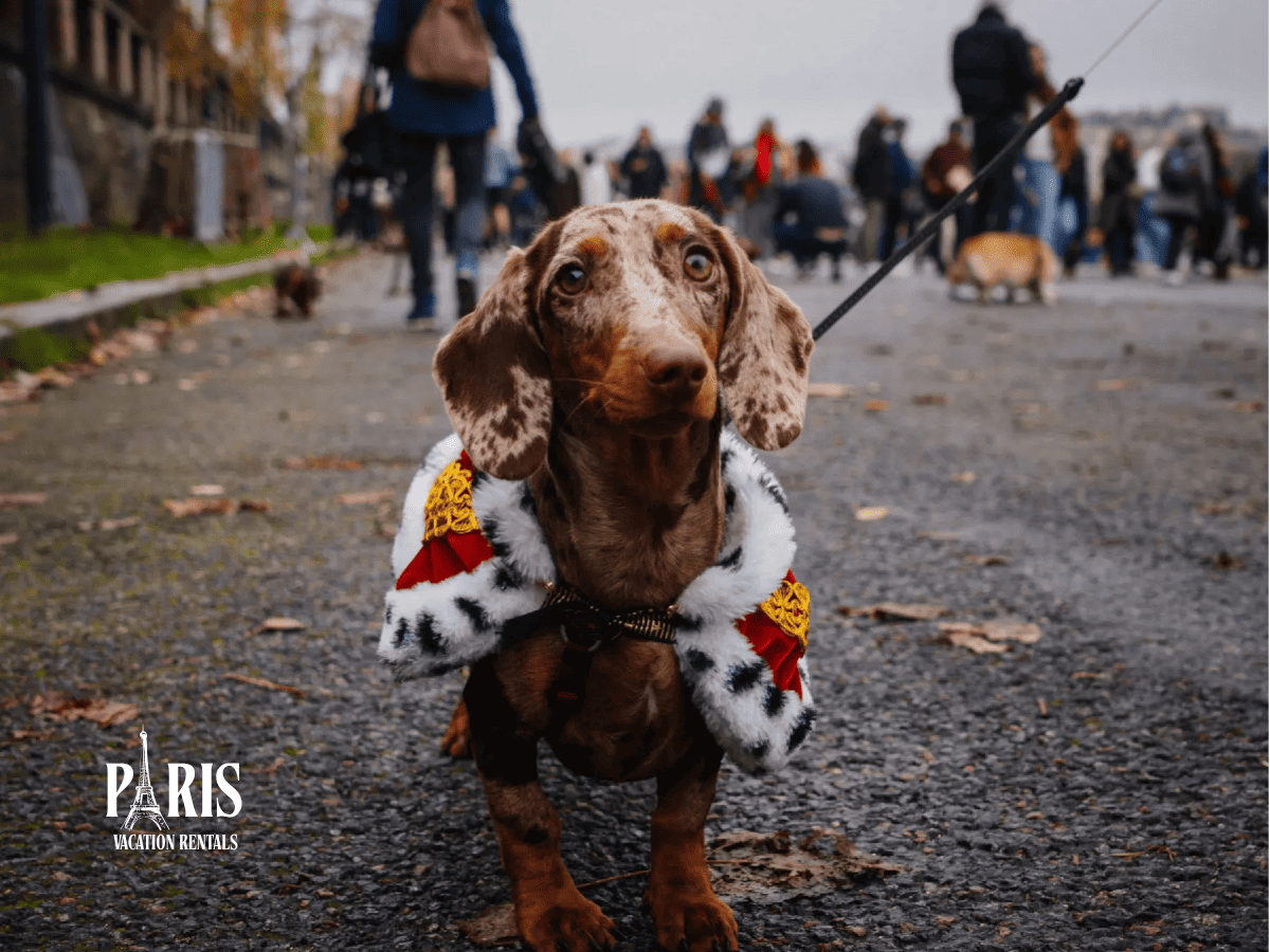 Paris Sausage Walk 2026 Moves to Iconic Champs-Élysées