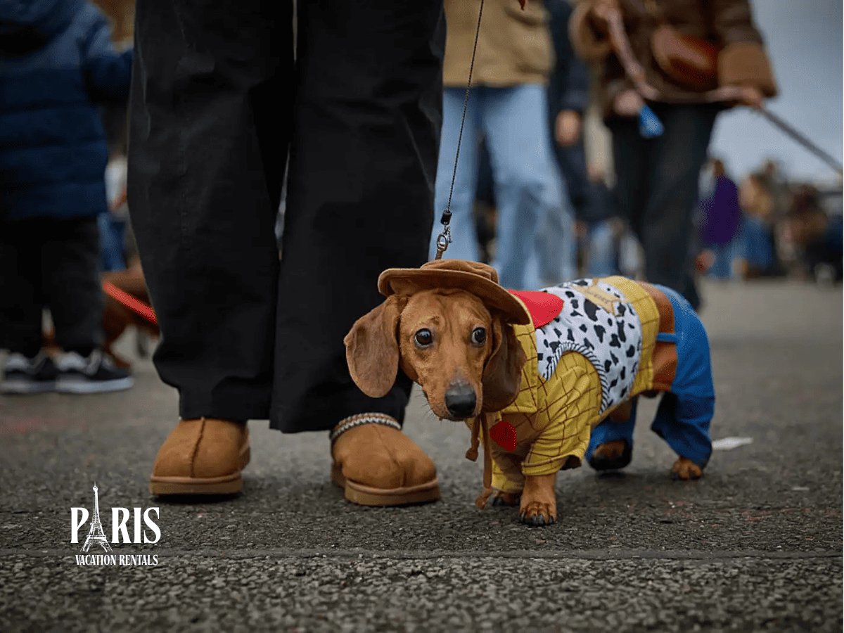 What Attendees Should Know Before the Paris Sausage Dog Walk 2026