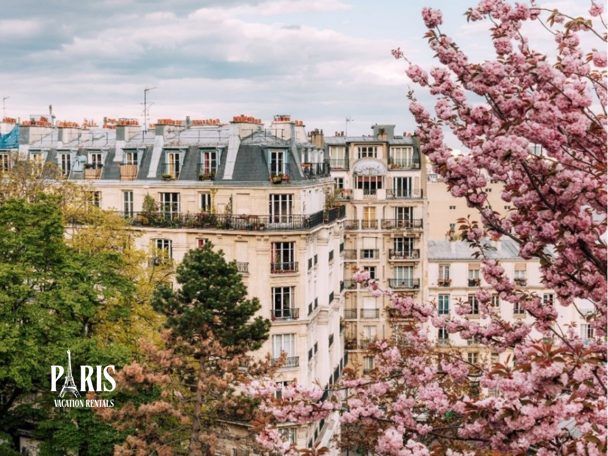 March and April: Spring Break Prime Time