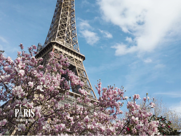 Paris Spring