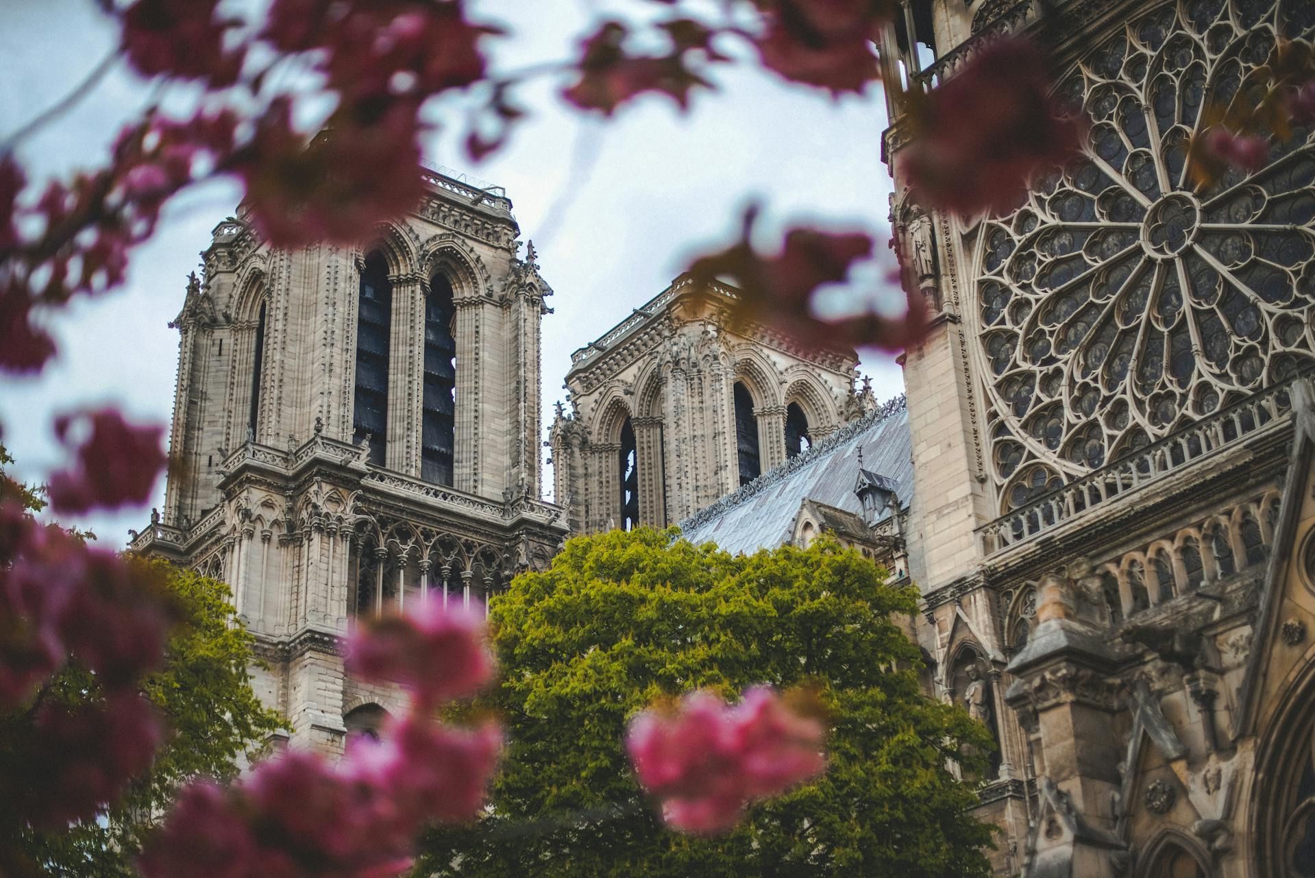 Low-Angle Photo of Notre Dame