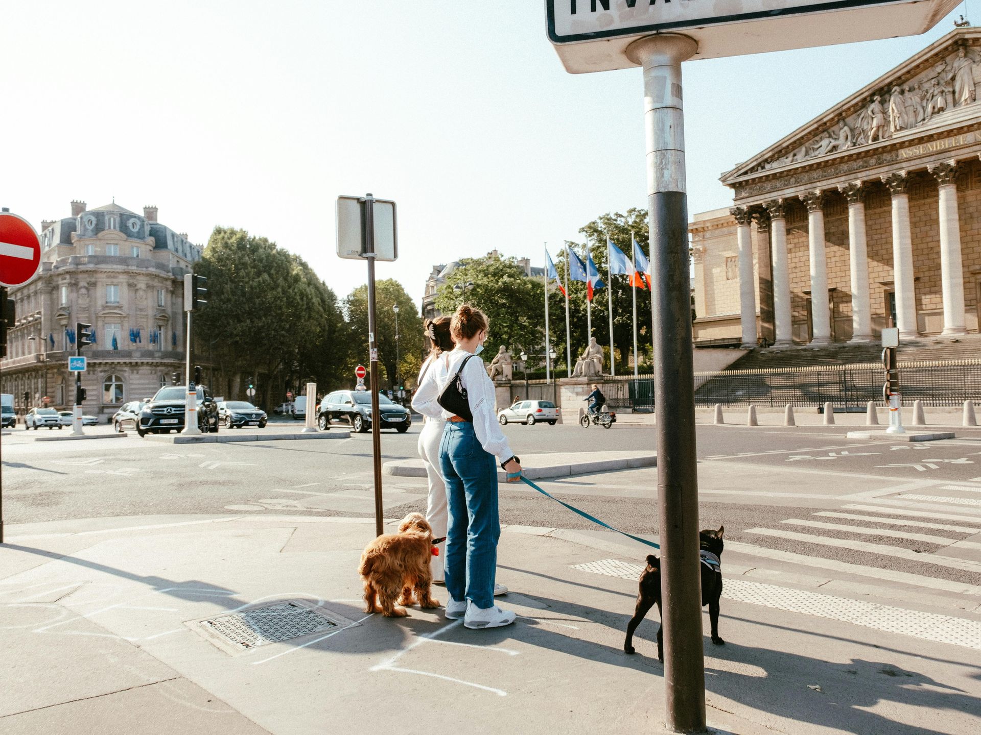 Two people with dogs wait to cross a city street in front of a building with columns; blue sky.