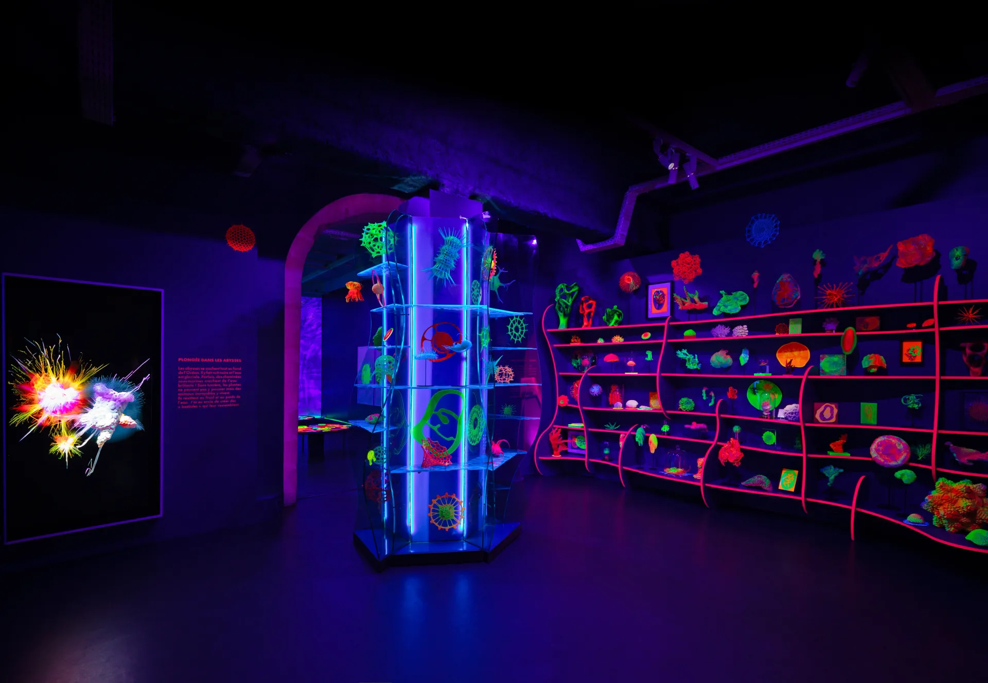 A dark room illuminated by neon lights. Shelves and a central display case hold glowing objects.