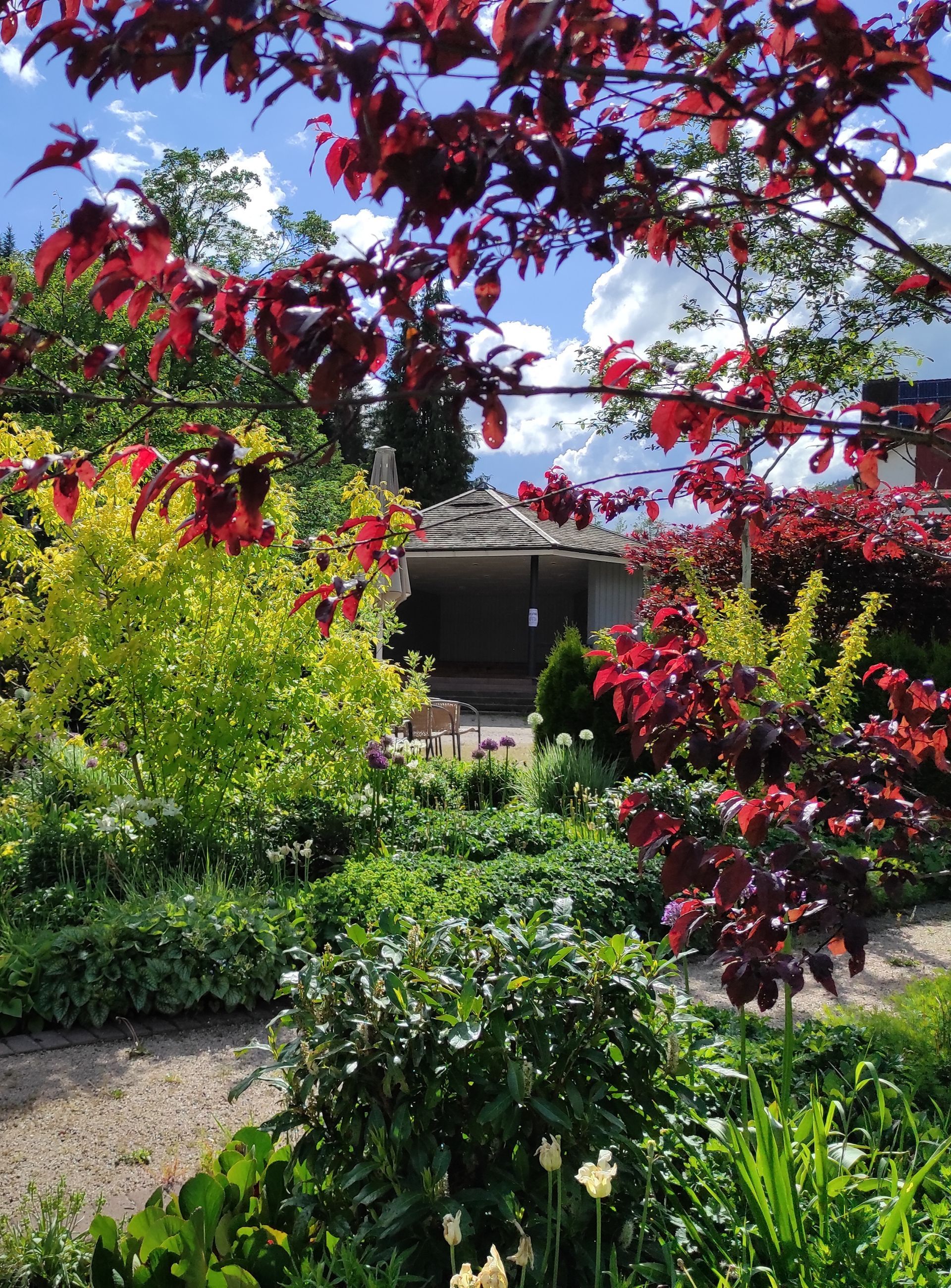 Sommerlicher Kurgarten mit blühenden Sträuchern und Weg nahe den Unterkünften
