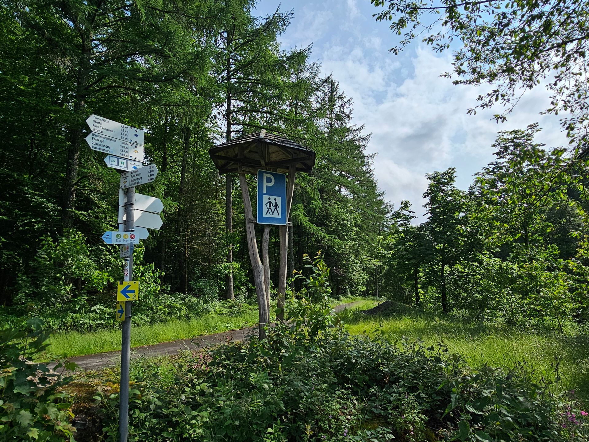 Wanderweg mit Parkplatzschild und Wegweisern im Wald bei Baiersbronn