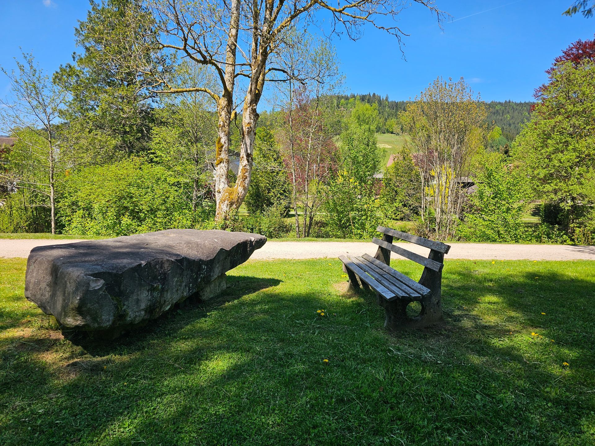 Holzbank an sonniger Wiese, direkt am Murg bei Baiersbronn, ruhiger Erholungsplatz
