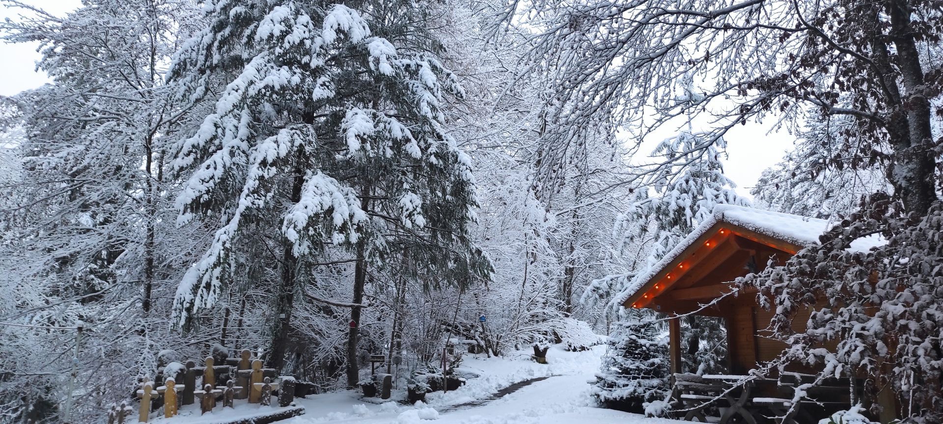 Verschneiter Winterweg im Schwarzwald mit Hütte und schneebedeckten Tannen