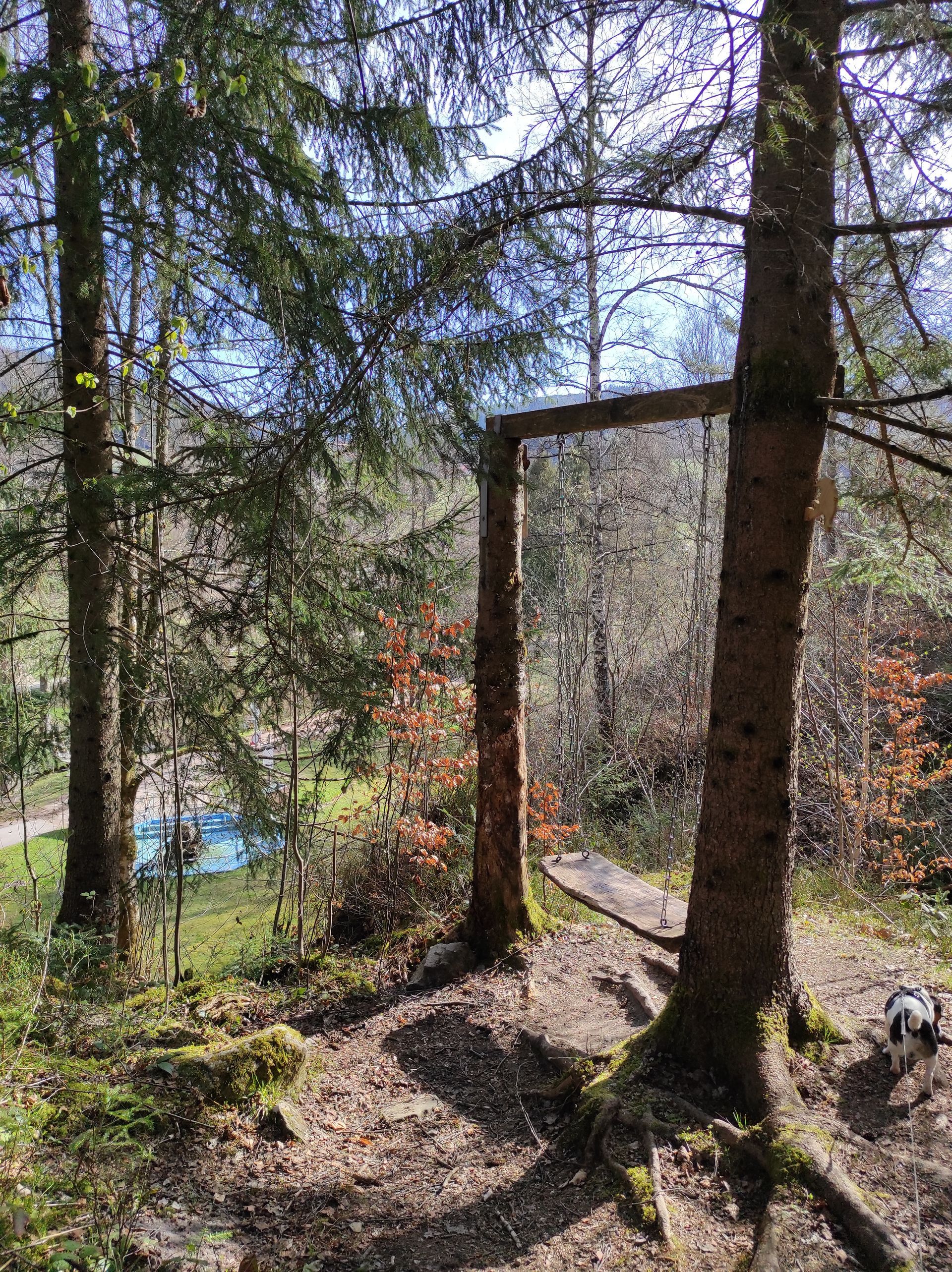 Holzschaukel zwischen Bäumen im Schwarzwald bei Obertal– ein besonders schöner Ort zum Entspannen inmitten der Natur