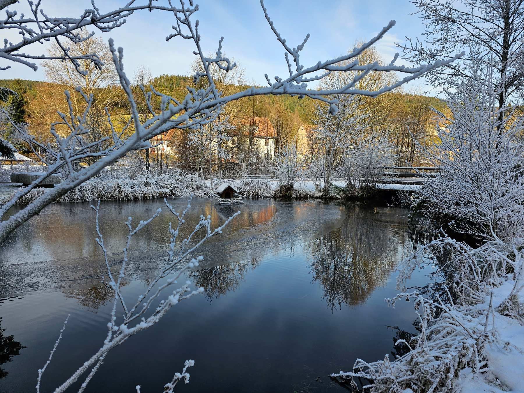 Winterliche Idylle am See im Kurpark Obertal bei Baiersbronn mit verschneiten Bäumen und Spiegelung im Wasser